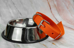 Pet Fulfillment: Trusted 3PL for Pet Brands | GCF